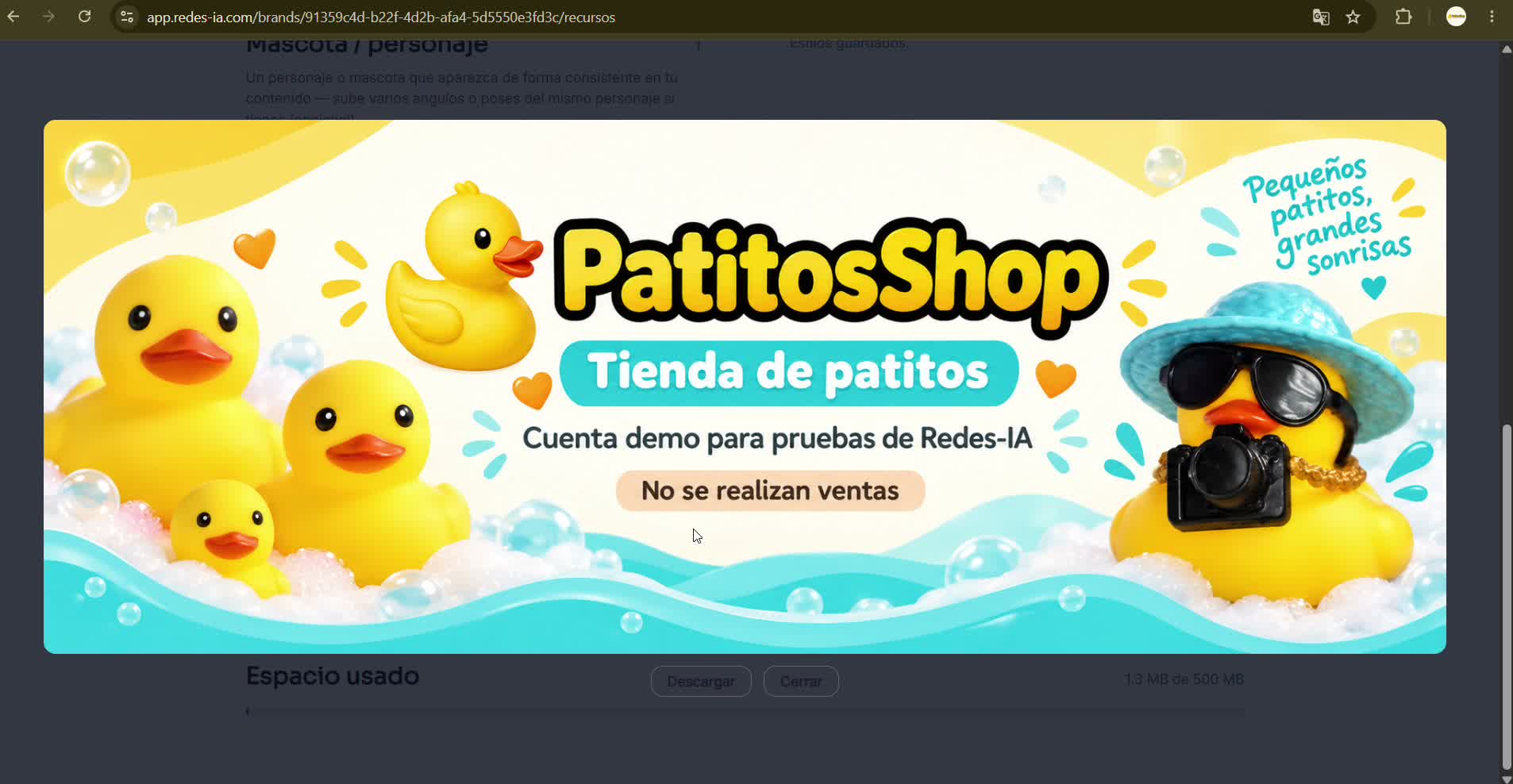 Captura de pantalla — paso 5: Lo que ya trajo de tus redes y tu espacio usado